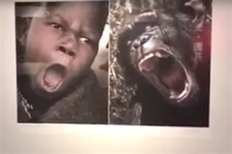 Racist Exhibition Closed After Black Africans Compared To Monkeys And
