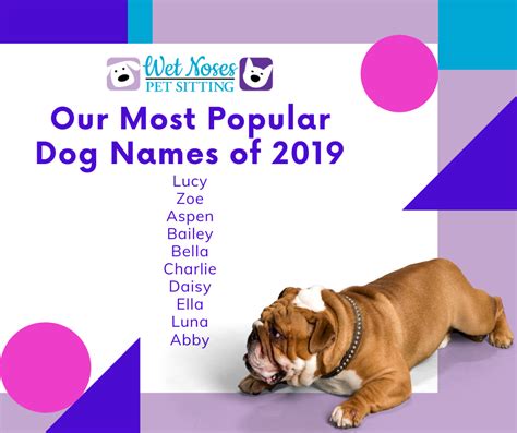 Most Popular Dog And Cat Names From 2019 Popular Dog Names Popular