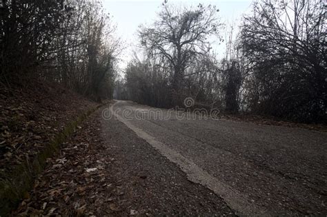 Road In A Forest On A Mountain On A Cloudy Day Stock Photo Image Of