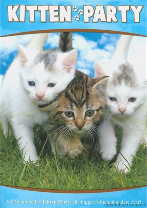 Kitten Party Dvd Dvd Empire