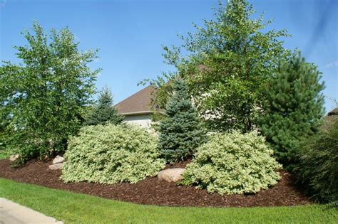 Landscaping With Shrubs And Berms Outdoor Landscaping