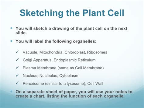 This list of new poems is composed of the works of modern poets of poetrysoup. Animal cell Poems Poems