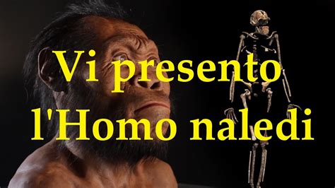 Aufgaben und übungen zur stammbaumanalyse und erbkrankheiten ökologie. Aufgabe Abitur Homo Naledi - Homo Naledi an attempt to ...