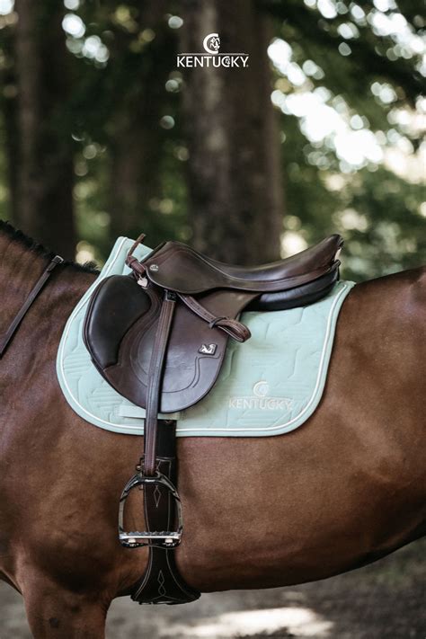 Saddle Pad color edition show jumping mint in 2020 (With images) | Saddle pads, Saddle, Pad