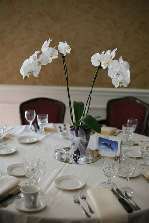 Potted Orchid Wedding Centerpieces Weddinggp