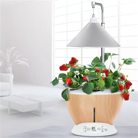 A kitchen garden doesn't have to be right outside the kitchen door, but the closer it is, the better. Potager d'intérieur 6L Nestor Kitchen Gardening 50x40x40 ...