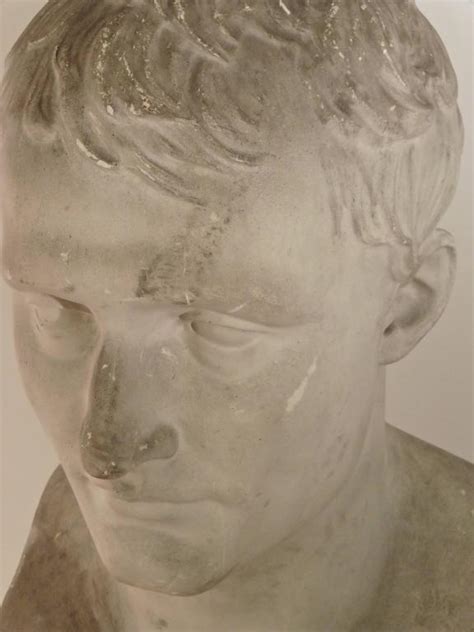 French Plaster Bust Of Napoleon Bonaparte Circa 1900 For