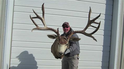 Huge 235 Mule Deer Buck From The Antlerman Youtube
