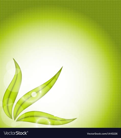 Eco Background With Green Leaves Royalty Free Vector Image