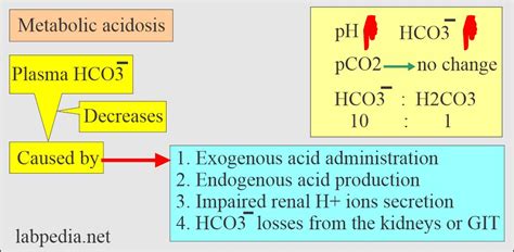 Acid Base Balance Part 2 Metabolic Acidosis And Metabolic