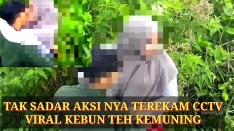 Viral Sejoli Mesum Di Kebun Teh Terekam Cctv Saat Ciuman Mesra