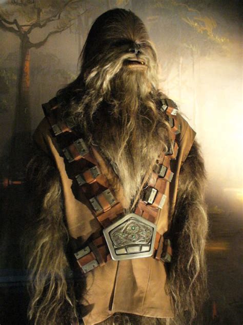 The Character Of Chewbacca Was Inspired By George Lucas Tall Hairy Alaskan Malamute Indiana