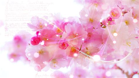 Pink Blossom Flowers Mac Wallpaper Download Allmacwallpaper