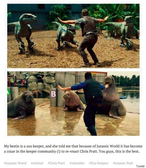 Zookeepers Are Hilariously Recreating Chris Pratts Raptor Training