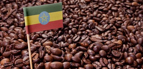 This is likely the region where coffee making originated in the first place, which is pretty interesting to think about. Wake up to the land that discovered coffee: Ethiopia