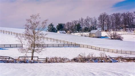 Snow Covered Farm Fields In Rural Carroll County Maryland Stock Photo