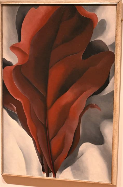 Large Dark Red Leaves On White Georgia Okeeffe 1925 Flickr