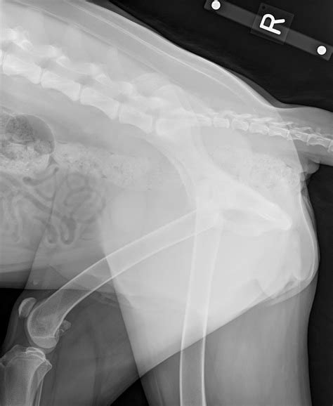 Fiona gets a new lease on life