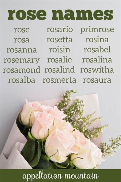 Rose Names Rosalie Rosemary Primrose Appellation Mountain