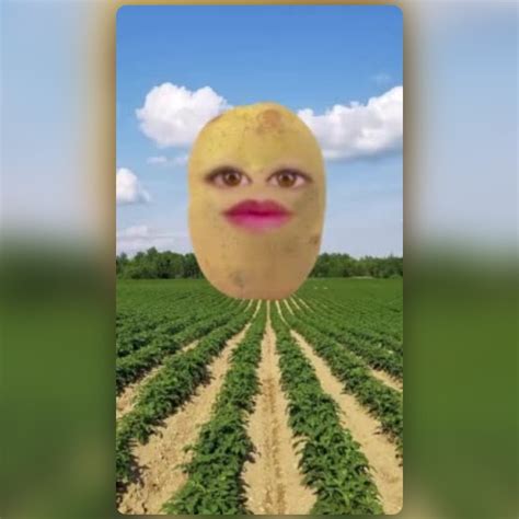 I Am Potato Lens By Anastasia Berliana Snapchat Lenses And Filters
