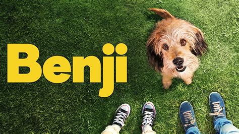 What Breed Of Dog Is Benji Famous Movie Character Facts Pet Keen