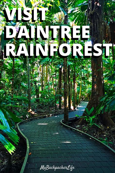 If Youre In The Area You Have To Visit The Daintree Rainforest This