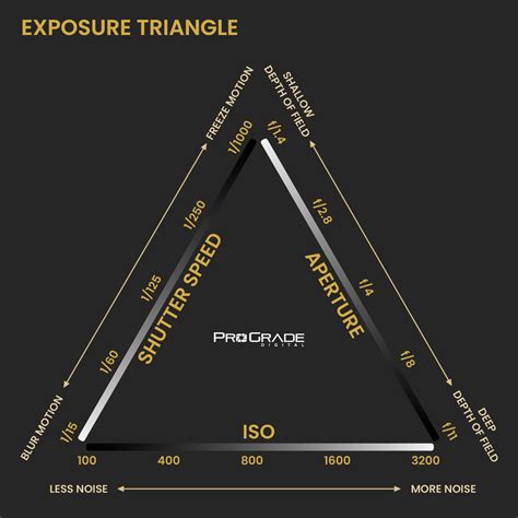 Camera Exposure Triangle