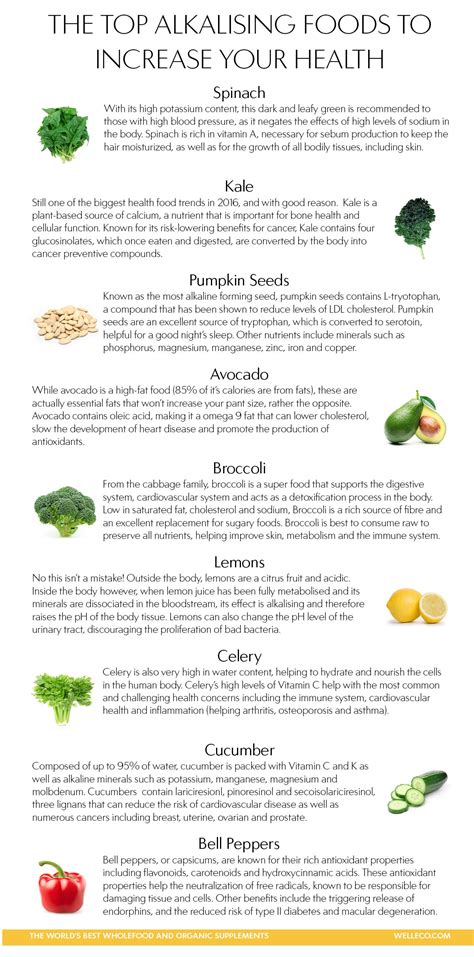 The Top Alkalising Foods To Increase Your Health Alkalising Foods