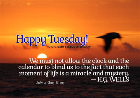 Tuesday memes are mostly people having fun, enjoying or hating the day, but no matter, which it is, they are going to let you know. Happy Tuesday Funny Morning Quotes. QuotesGram