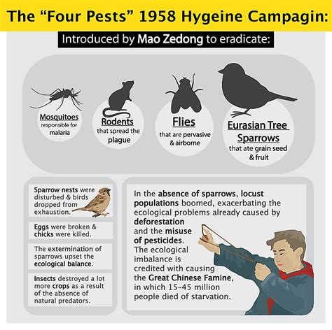 The Four Pests Campaign Objectives Execution Failure And