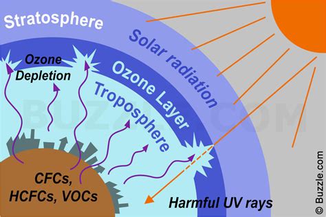 What Do You Understand By Depletion Of Ozone Layer Daneelyunus