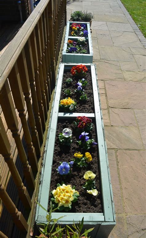 They flower best is early spring. 25 Best Spring Planter Ideas to Brighten Your Home and ...