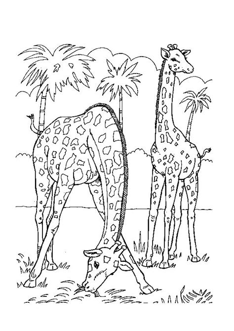 Easy coloring pages for toddlers easy printable flower. Baby Jungle Animals Coloring Pages | Free Printable ...
