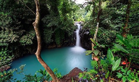 16 Best Waterfalls In Bali The Ultimate Bucket List Honeycombers