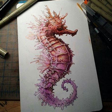 Ncwinters Seahorse Tattoo Seahorse Art Seahorses Seahorse Drawing
