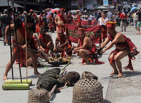Graphic Carabao Butchered And Offered To The Ifugao Gods As A Healing
