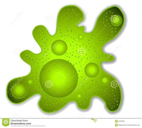 Oncolytic measles virus targets high cd46 expression on multiple myeloma cells. Arte Di Clip Verde Del Microbo Dell'ameba Illustrazione di ...