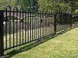 Best Wood Fencing Material