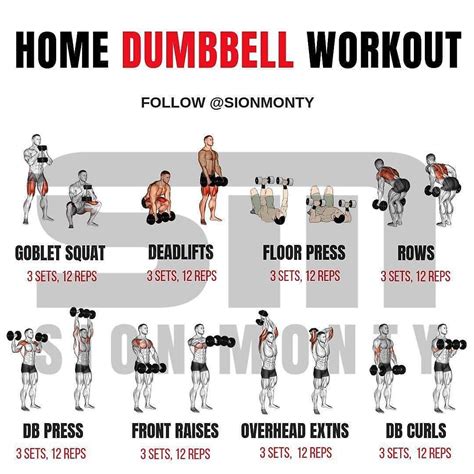 Home Dumbbell Workout By Sionmonty Follow Gym Fit Union Full Body