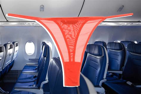 Onlyfans Models Wild Travel Hack Stuns Southwest Airlines Flight Flipboard