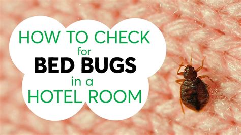 Three Tips To Help You Avoid Hitchhiking Bed Bugs From A Hotel Room