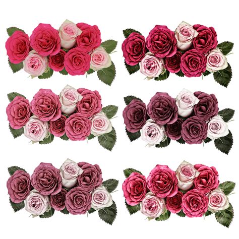 Roses Flowers Rose Flower · Free Photo On Pixabay