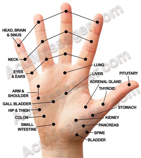 Pressure Points On The Hands Chart