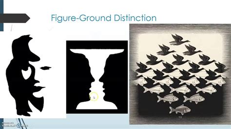 Gestalt Figure Ground