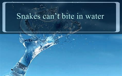 24 Interesting Facts About Water That Gallery Ebaums World