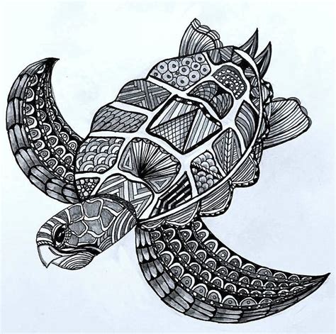 Black And White Sea Turtle Drawing By Wendy Chase Fine Art America