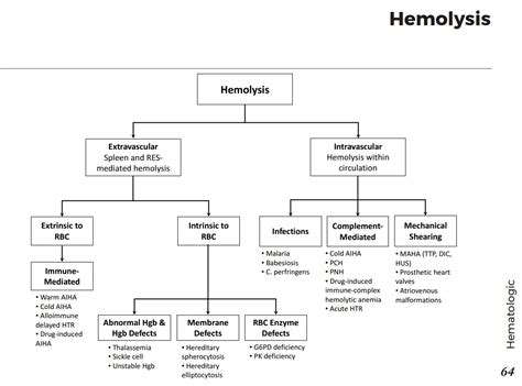 Causes Of Extravascular And Intravascular Hemolysis Grepmed