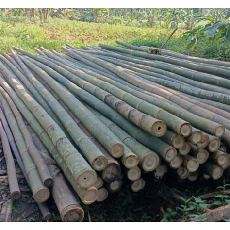 Jual Bambu Steger Bisa Di Tanya Tanya Dulu Shopee Indonesia