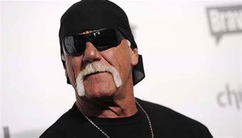 Sex Tapes Case Hulk Hogan Jury Awards Usd 25 Mn In Punitive Damages World News Zee News