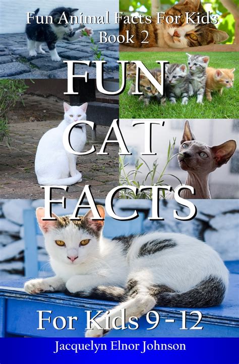 Fun Cat Facts For Kids 9 12 Crimson Hill Books